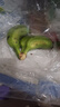 广西小米蕉小香蕉自然熟迷你香蕉苹果蕉小芭蕉新鲜水果特产鸡蕉 小米蕉1斤泡沫箱打包 实拍图