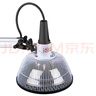 神鸟CQ-BT5A 中芝生物灯 特定电磁波治疗器 机械定时 TDP神灯理疗仪 实拍图