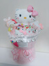 AWHAHelloKitty玩偶花束库洛米卡通毛绒玩偶花束生日礼物送女朋友 糖果色hellokitty玩偶花束+礼袋灯串 实拍图