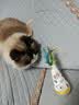 HELLOJOY猫咪不倒翁玩具羽毛逗猫棒球猫消耗体力自嗨解闷神器猫咪用品 实拍图
