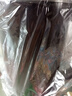 九阳破壁机免滤豆浆机家用2.2L大容量全自动加热辅食机多功能料理机榨汁机米糊机磨粉机 【冷热双用/免滤直接喝 】 实拍图
