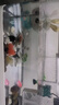 阔庭（KUOTING）鱼缸懒人鱼缸家用客厅办公室金鱼缸过滤鱼缸白色款 实拍图