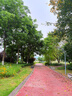 普安特宠物猫咪驱虫药体外驱虫滴剂驱成虫跳蚤非泼罗尼爱滴克0.5ml*3支 实拍图