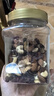 悠米 混合坚果果干每日坚果450g休闲零食坚果炒货腰果核桃巴旦木 实拍图