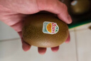 佳沛（zespri）新西兰  阳光金奇异果6粒装 单果约88-103g 猕猴桃水果礼盒 实拍图