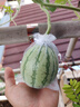 半球（PESKOE）【升级款】电饭煲4L电饭锅 直身式带蒸笼MW-DS40A1-G适用4至5人 实拍图
