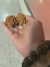 山中玉文玩核桃狮子头闷尖手把件古玩麻核桃秋子核头爸妈新年送礼物原色 【精配】新手级42-43mm官帽1对 实拍图