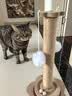 HELLOJOY猫玩具自动逗猫玩具球自嗨解闷神器电动逗猫棒磨牙幼猫猫咪玩具 实拍图