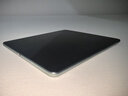 HUAWEI支持教育优惠 MatePad Mini 华为平板电脑小平板大手机 SIM卡可通话旅行搭子12+256GB 云杉绿 实拍图