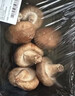 带根鲜香菇约300g 实拍图