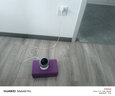 鸿蒙智选海雀800万摄像头监控家用360度无死角带夜视全景支持华为智慧生活家庭室内安防看护可对话视频雀蛋 实拍图