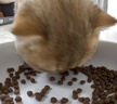 米家宠物智能喂食器2可视版+宠物智能饮水机2组合套装小米猫咪狗狗 实拍图