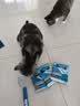 伯纳天纯小型成犬粮泰迪比熊博美天然粮樱桃味狗粮10kg/20斤 实拍图