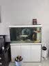 森森（SUNSUN）大型鱼缸底过滤水族箱客厅家用落地玻璃生态金鱼缸 【实时温显+灯控】珍珠白 1.2米长35cm宽 实拍图