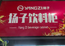 扬子（YANGZI）展示柜冷藏大容量饮料啤酒保鲜柜立式冰柜商用超市玻璃门上下机直风冷 380单门下机丨标准基础款【直冷】丨一级能效 【铜管制冷】【东贝压缩机】 实拍图