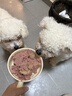 顽皮（Wanpy）狗狗罐头果饭儿全价生骨肉犬主食罐鸭肉雪梨375g*24罐整箱装 实拍图
