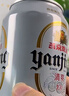 燕京啤酒 特制10度白听330ml*24听 新老包装交替发 春日热卖 实拍图