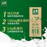 伊利金典纯牛奶 250ml*12盒 3.6g乳蛋白原生高钙 礼盒装 实拍图
