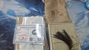 月印百川 高密小叶紫檀手串男士顺纹木饰佛珠手链约18mm 实拍图