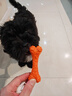 宜特（EETOYS）小号奶酪骨狗狗玩具逗狗磨牙耐咬棒小犬型狗咬胶宠物用品 实拍图