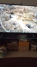 东芝电视55Z500QF 55英寸 Mini LED控光 144Hz 3+128GB 火箭炮音响 4K超清 以旧换新家电国家补贴 实拍图
