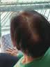 高缇雅染发剂植物泡泡染盖白头发安心男女士染发膏（黑茶2盒） 实拍图