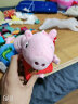 小猪佩奇（Peppa Pig）毛绒玩具抱枕公仔布娃娃国庆节礼物送男孩女孩女友 2只装礼盒（佩奇19cm+乔治19cm） 实拍图