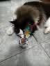 HELLOJOY猫咪不倒翁玩具羽毛逗猫棒球猫消耗体力自嗨解闷神器猫咪用品 实拍图
