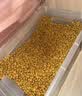 疯狂小狗 狗粮鸡肉蓝莓味10kg 金毛泰迪中大小型犬幼犬成犬通用粮 20斤 实拍图