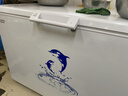 澳柯玛（AUCMA）401升单温冷柜家用卧式大冰柜雪糕柜冷藏柜冷冻柜顶开门冰箱一级能效 BC/BD-401HNEV 以旧换新 实拍图