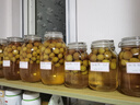 喜碧（Scybe）泡酒容器密封罐6斤装泡酒瓶泡菜坛子腌菜缸腌蛋玻璃罐潘多拉3.2L 实拍图