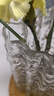 墨斗鱼冰川透明玻璃花瓶简约轻奢桌面摆件鲜花插花母亲节礼物 实拍图