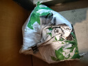 营养土养花种菜土壤有机兰花多肉植物盆栽种植椰砖土通用型 有机营养土10斤【园艺师专研配方 实拍图