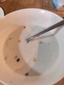山萃（SUNDRY）中粮 水果燕麦片营养早餐高膳食独立小包装0添加蔗糖麦片(35g*10) 实拍图