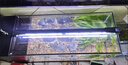 吉印刀锋s鱼缸灯led灯防水全光谱鱼缸照明灯水草灯小型专用鱼灯66cm 实拍图