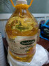 五钻（PentaGem）乌克兰原瓶原装进口葵花籽油5L 物理压榨充氮保鲜植物油食用油 实拍图