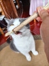 憨憨乐园二合一逗猫激光笔猫玩具逗猫棒猫咪幼猫玩具逗猫神器红外线指示器 实拍图
