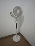 美的（Midea）【幸运草安睡2ProMax】家用空气循环扇/直流变频轻音小型电风扇/净化落地扇 智能语音遥控3D摇头 实拍图