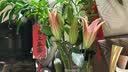 咪咕哈啦（MIGUHARA）爽肤水湿敷水果酸美白淡斑去黄提亮熬夜急救补水喷雾护肤女400ml 【2件更优惠】美白湿敷水400ml*2 实拍图