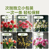史丹利（STANLEY）鲜花保鲜剂家用营养液花店专用延长剂小袋百合玫瑰鲜切花100ml 实拍图