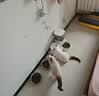 霍曼（Homerun）Real智能自动喂食器猫粮狗粮定时猫咪自动投食机 不锈钢碗喂食器+三代饮水机+滤芯 实拍图