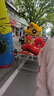 尔澜60-70cm砂糖橘树苗橘子苗沙糖桔树苗果树苗露天阳台种植源头直发 实拍图