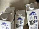 每日鲜语【PLUS爆款】蒙牛现代牧场鲜牛奶960ml*4瓶 日期包新鲜 实拍图