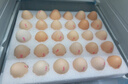 京鲜生 无抗保洁鲜鸡蛋30枚/盒 健康轻食 礼盒送礼 1.5kg/盒 源头直发 实拍图