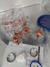 伟星 PPR4分水管2米1根 dn20*en3.4 官方原厂正品家装冷热水通用管道管材 实拍图