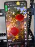 HUAWEI华为 畅享20/ 20Pro 5G全网通 二手手机 游戏手机 手机华为 5G手机 畅享20 Pro 樱雪晴 6+128G 95新 实拍图