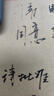百乐（PILOT）钢笔式毛笔秀丽笔科学纤维直液软笔 书法手绘画练字抄经 便携可换墨囊SVS-70FDM-B 中字A 实拍图