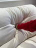 卡尔适奶油风布艺沙发客厅可拆洗小户型中古风雪尼尔直排云朵沙发太空云 拆洗款3.1米 【豪华版】防螨升级13防猫抓布 实拍图