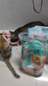 凯锐思猫粮鲜肉幼猫猫粮1-12月奶糕助力免疫鲜肉冻干双拼幼猫粮 【1-4月母乳营养】离乳奶糕粮2斤 实拍图