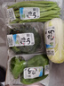 小汤山 豆角 300g 基地直供新鲜蔬菜安全可追溯 实拍图
